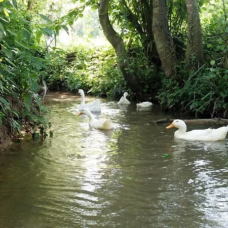 Sakarya Sakli Vadi